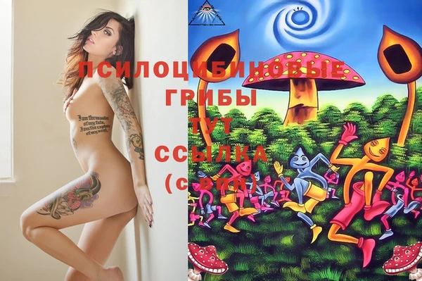 MESCALINE Елабуга